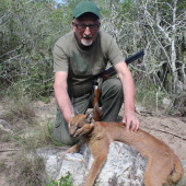 Caracal