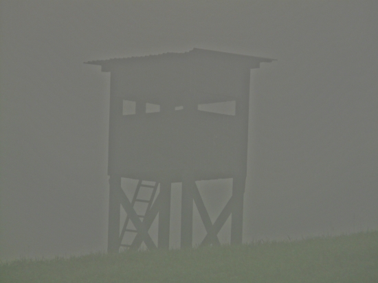 Ranná postriežka...