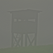 Ranná postriežka...