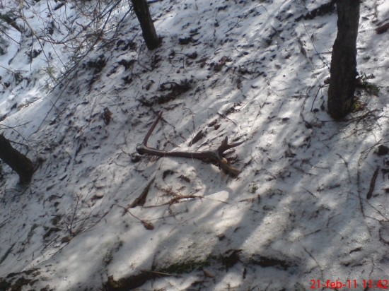 minulorocny-tochto roku štartovaci