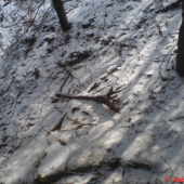 minulorocny-tochto roku štartovaci