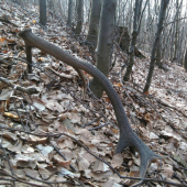 dnes a konečne tohtoročný-prvý pohlad