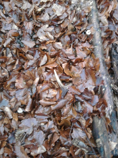 sezona 2010-zamaskovaný