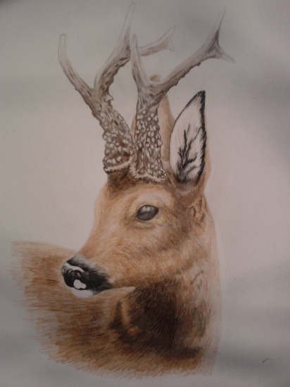 kresba mojej priatelky