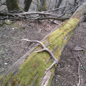 2010