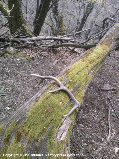 2010