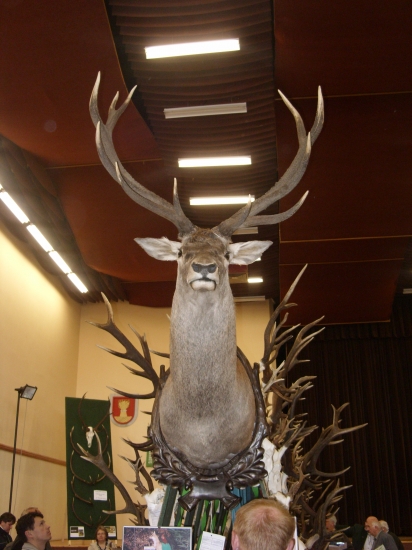 Chovateľská prehliadka Trenč. Stankovce