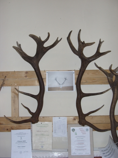 Chovateľská prehliadka Trenč. Stankovce