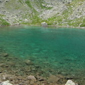 priezračná vodička