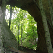Šarkania diera
