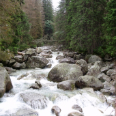 tatranský potôčik