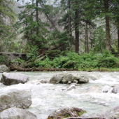 tatranský potôčik 1