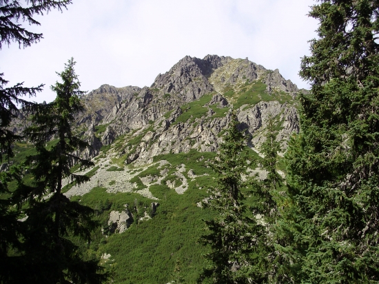 zo včerajška