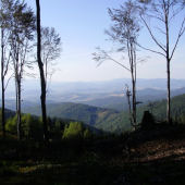 Dnes na prechádzke revírom