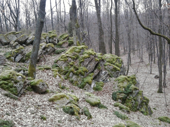 mačina
