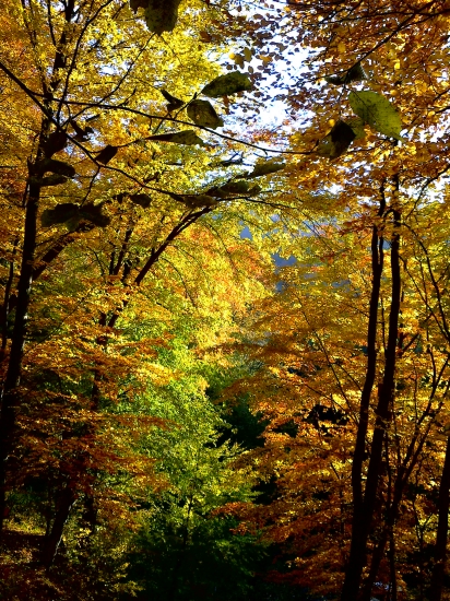 ešte jedna jesenná