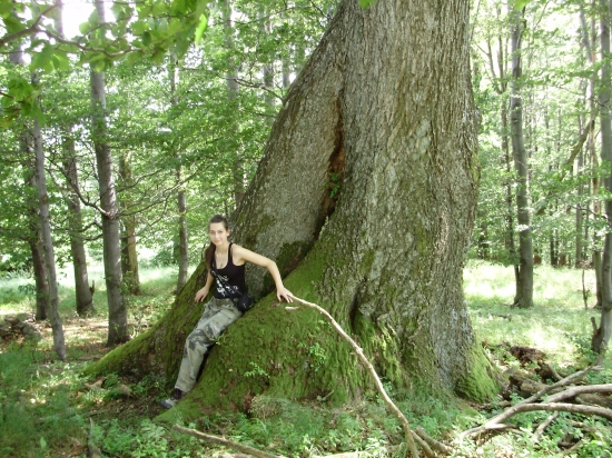 v lete na prechádzke