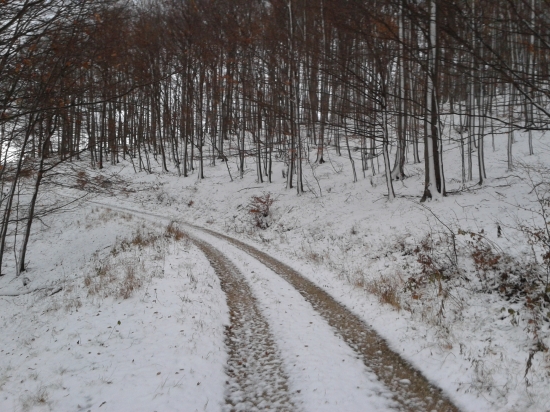u nás prvý sneh konečne