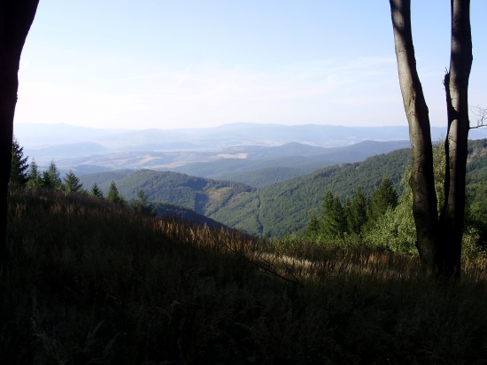 v lete na prechádzke