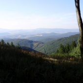 v lete na prechádzke