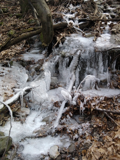 zamrznutý potôčik