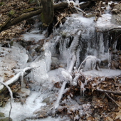 zamrznutý potôčik