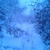 v pohone to bude ťažké