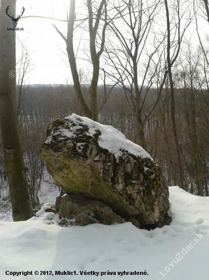 šuter