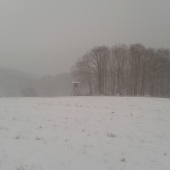 trošku nám zasnežilo