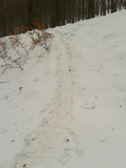 diviaci mi to uľahčili