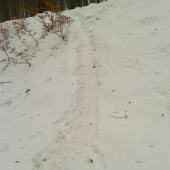 diviaci mi to uľahčili