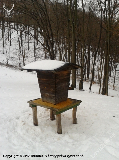 navštevovaný