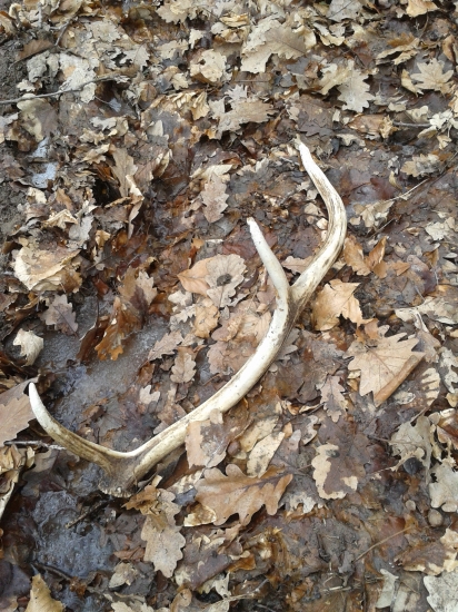 nemôžu vyhrabať niečo väčšie :D