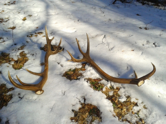 14-toráky kúsok od seba