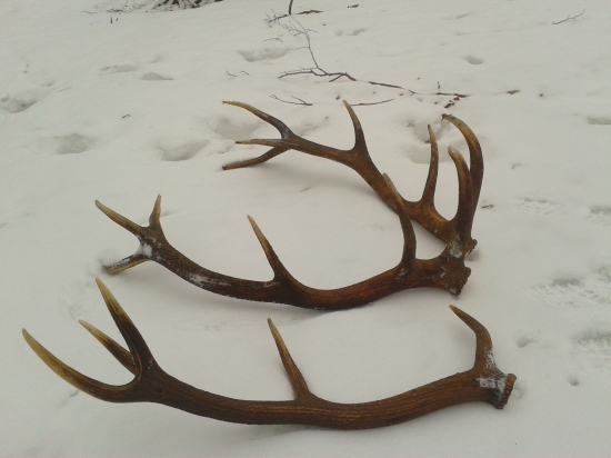 po vytiahnutí zo snehu