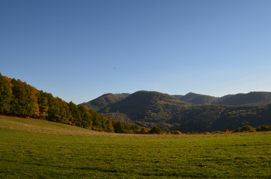 jesenná