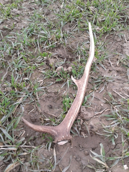 najmenší tento rok