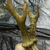 Slušný