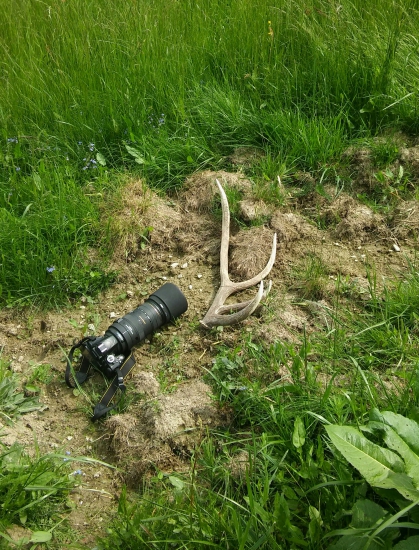 Ešte sa poštastilo pri fotolove