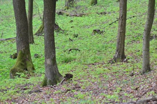 pohľad na nezaplatenie