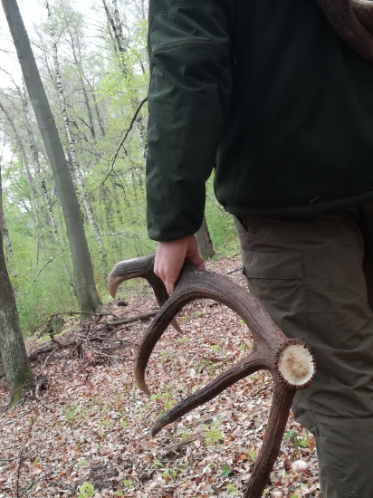 Úspech na prechádzke