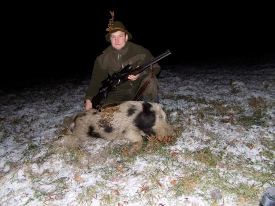 Moje prvé diviača-albínča