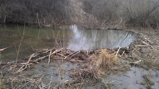 Bobria hradza