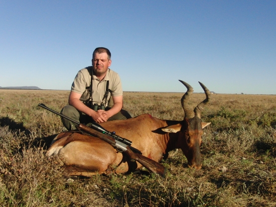 Hartebeest