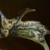 pohľad
