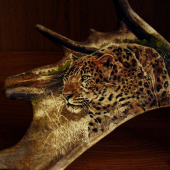 leopard