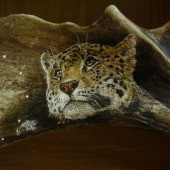 detail