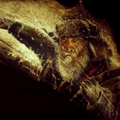 kreslo-(detail)