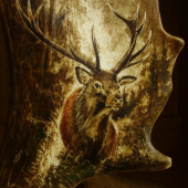 jeleň