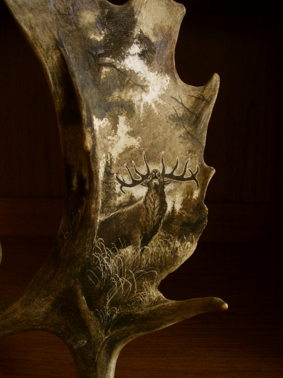 keď počuť jeleňa..